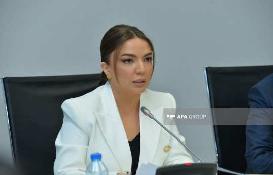 Executive Director of Agency: Number of projects submitted by Azerbaijan's NGOs reached record high in latest competition