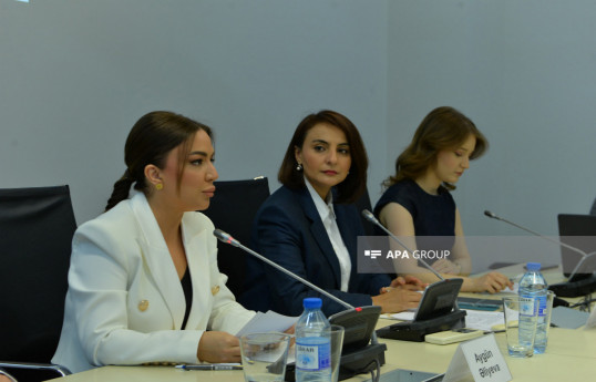 Representatives from nearly 100 countries will attend Baku meeting of Global South NGOs