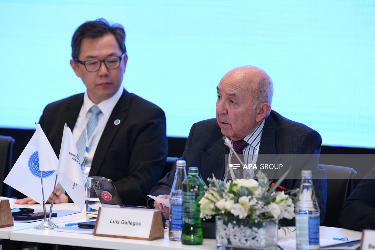 Former Foreign Minister: Global South Platform should aim to ensure international prosperity