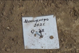 Azerbaijan discovers Neolithic material and cultural artifacts in Goranboy -PHOTO 