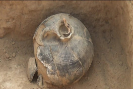 Azerbaijan discovers Neolithic material and cultural artifacts in Goranboy -PHOTO 