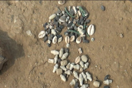 Azerbaijan discovers Neolithic material and cultural artifacts in Goranboy -PHOTO 