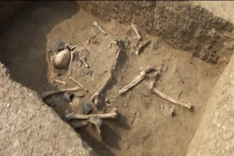 Azerbaijan discovers Neolithic material and cultural artifacts in Goranboy -PHOTO 
