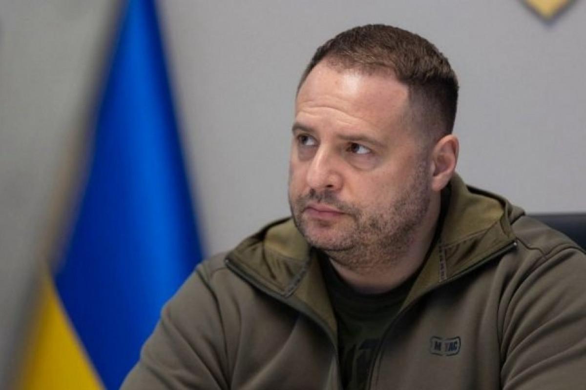 Ukraine: Indian-made parts found in Russian drones