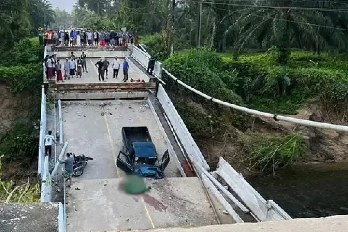 Suspension bridge cable snaps at Xinjiang scenic area, killing 5​