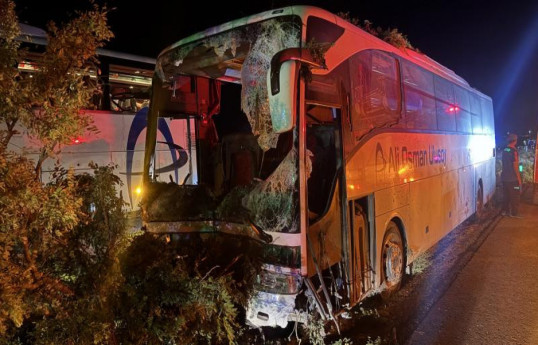 One die, 13 injure as passenger bus crashes into tree in Türkiye