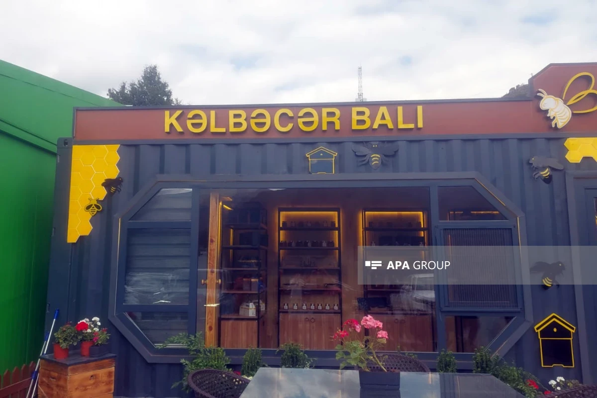 Introducing Kalbajar honey to the international market is planned-PHOTO 