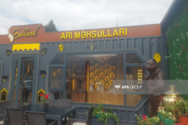 Introducing Kalbajar honey to the international market is planned-PHOTO 