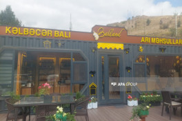 Introducing Kalbajar honey to the international market is planned-PHOTO 