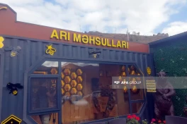 Introducing Kalbajar honey to the international market is planned-PHOTO 