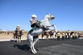 President Ilham Aliyev presented with Akhal-Teke horse-PHOTO -UPDATED 