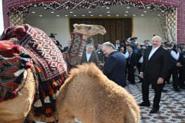 President Ilham Aliyev presented with Akhal-Teke horse-PHOTO -UPDATED 
