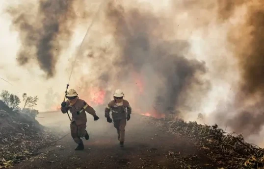 Portugal's largest wildfire brought under control