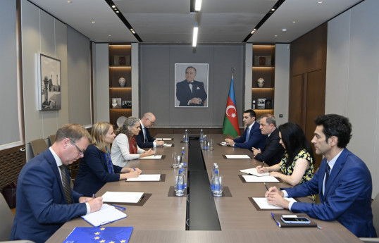 Azerbaijani FM met with EU Special Representative for the South Caucasus and crisis in Georgia