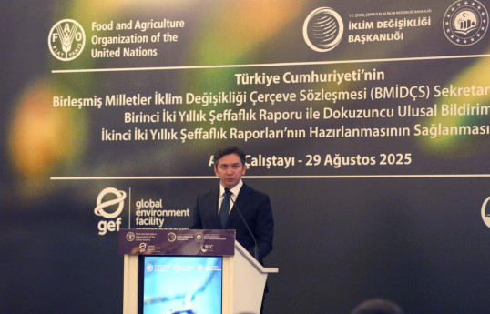 Deputy Minister of Foreign Affairs of the Republic of Azerbaijan and Chief Negotiator for COP29, Yalchin Rafiyev