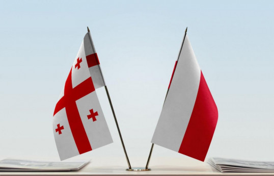 Poland suspends simplified work visas for Georgian citizens