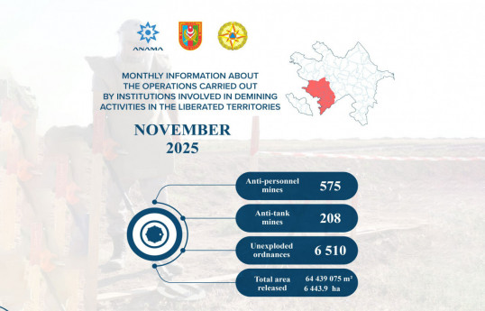 Azerbaijan's ANAMA discovers 783 more landmines, 6510 UXOs in liberated territories last month
