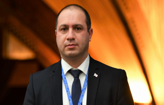 Georgian Minister of Education, Science and Youth Givi Mikanadze