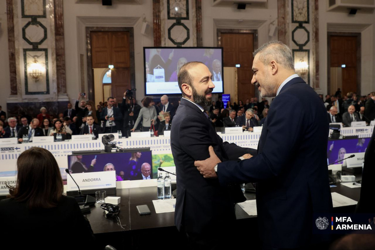 Armenian FM met with Hakan Fidan in Vienna