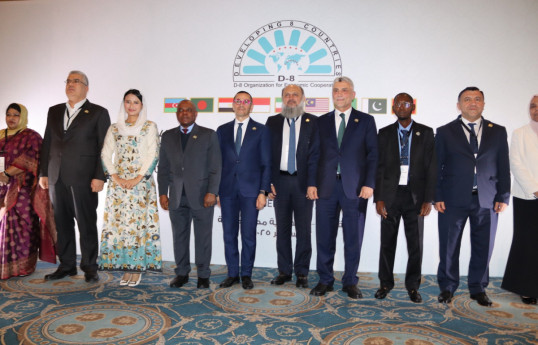 D-8 countries adopt Cairo Declaration on Trade Cooperation