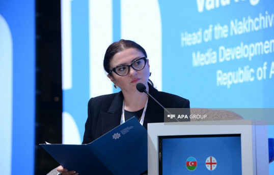 Next panel session held at Azerbaijan-Georgia Media Forum -PHOTO 