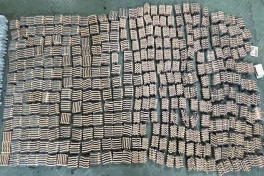 Large quantity of medicines hidden in potato cargo seized at Customs-PHOTO 
