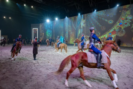 Karabakh horses performed at the "Mara'ee 2025" festival in Bahrain -PHOTO 