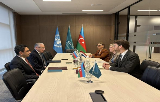 Azerbaijan, Netherlands discussed cooperation on climate issues