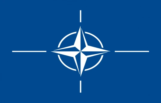 Georgian PM called NATO's "open door" policy "farce"
