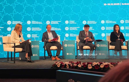 © APA | Turkic States Forum on Combating Disinformation