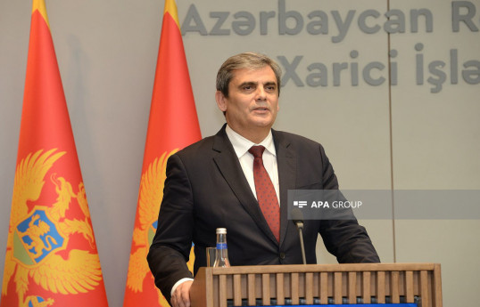 Ervin Ibrahimović, Deputy Prime Minister for International Relations and Minister of Foreign Affairs of Montenegro 