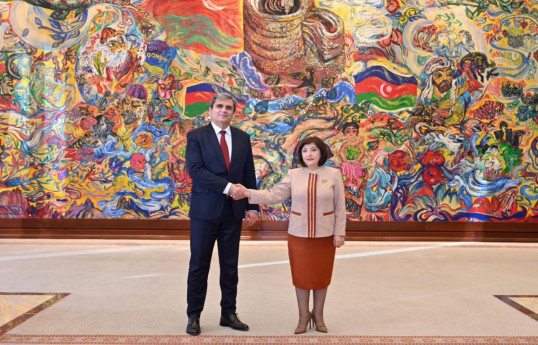 Deputy Prime Minister, Minister of Foreign Affairs of Montenegro Ervin Ibrahimović and Speaker of the Milli Majlis Sahiba Gafarova