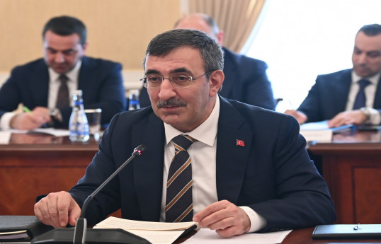 Cevdet Yılmaz, Vice President of the Republic of Türkiye