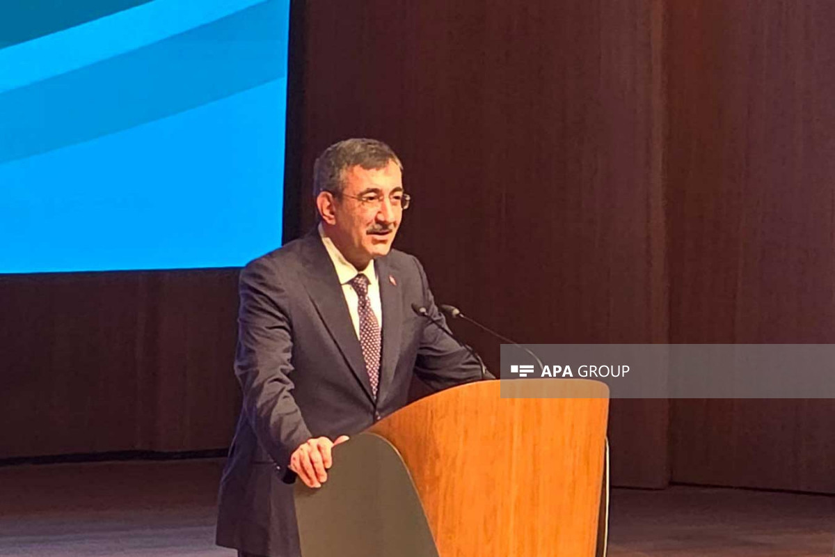 Cevdet Yılmaz, Vice President of the Republic of Türkiye