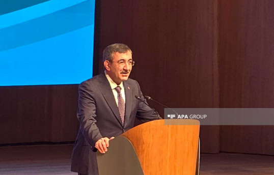 Cevdet Yılmaz, Vice President of the Republic of Türkiye