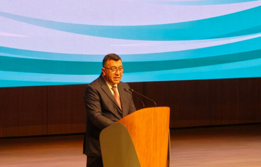 Deputy Minister of Economy Samad Bashirli