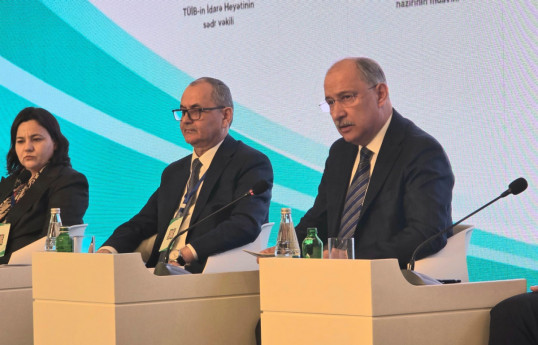 Agrarian projects in Karabakh and East Zangezur to boost regional food security – Turkish deputy minister