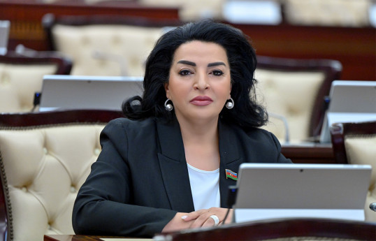 Fatma Yıldırım, Deputy Chairwoman of the Milli Majlis Committee on Natural Resources, Energy and Ecology