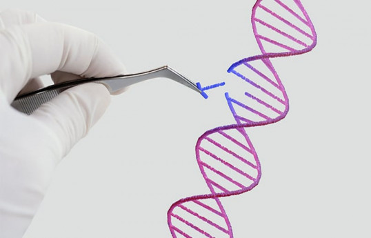 Human cloning excluded from patent protection under proposed amendments