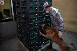 Azerbaijan intercepted over 148 kg of narcotics at Astara border checkpoint-PHOTO 