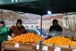 "From Village to City" New Year's agricultural fair organized in Azerbaijan's Khankendi-PHOTO 