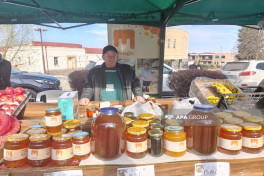 "From Village to City" New Year's agricultural fair organized in Azerbaijan's Khankendi-PHOTO 