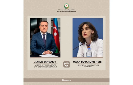 Azerbaijani, Georgian FMs discuss transit of Azerbaijani oil products to Armenia via Georgia