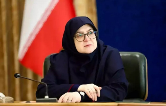 Fatima Mohajirani, an official of the Iranian government's press service