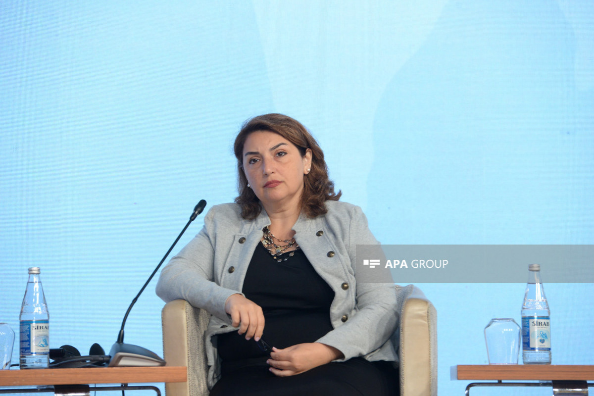Shafag Mehraliyeva, Faculty member of the Communication and Digital Media Program at the ADA University