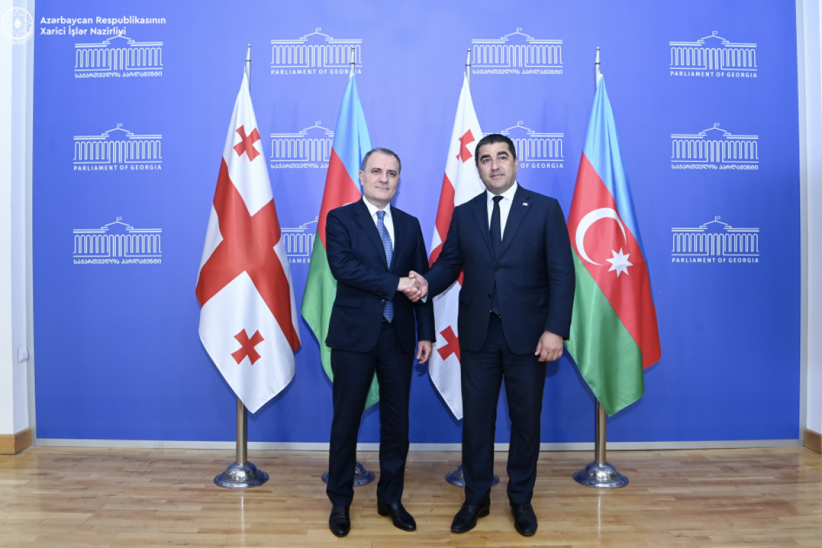 Azerbaijan’s Foreign Minister meets with Speaker of Georgian Parliament