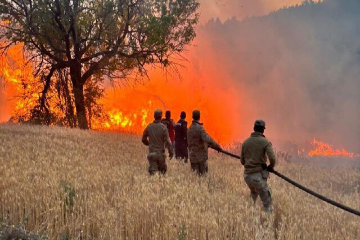 Türkiye arrests 4 people in connection with 61 forest fires in July