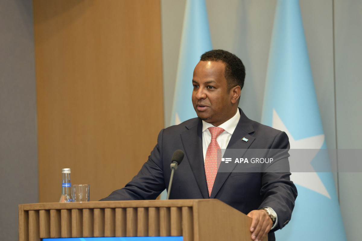 Minister of Foreign Affairs and International Cooperation of the Federal Republic of Somalia Abdisalam Abdi Ali