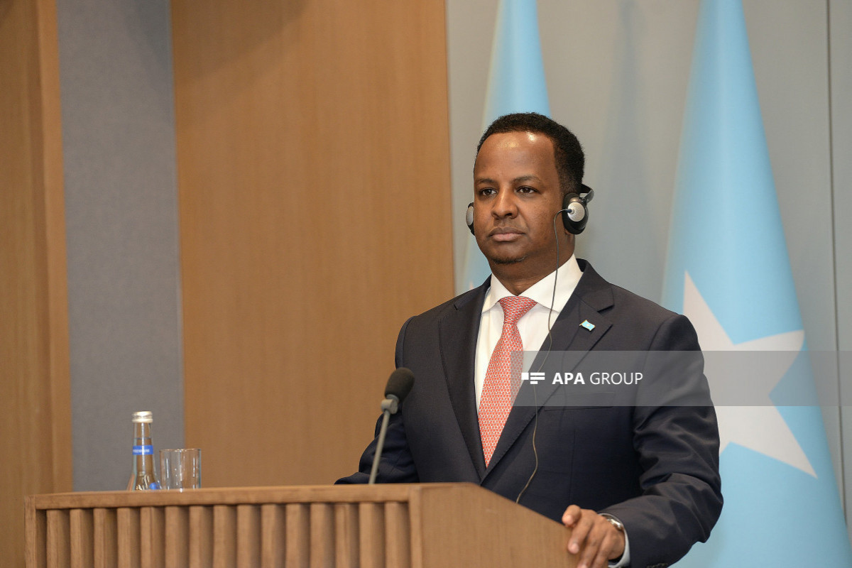 Minister of Foreign Affairs and International Cooperation of the Federal Republic of Somalia Abdisalam Abdi Ali