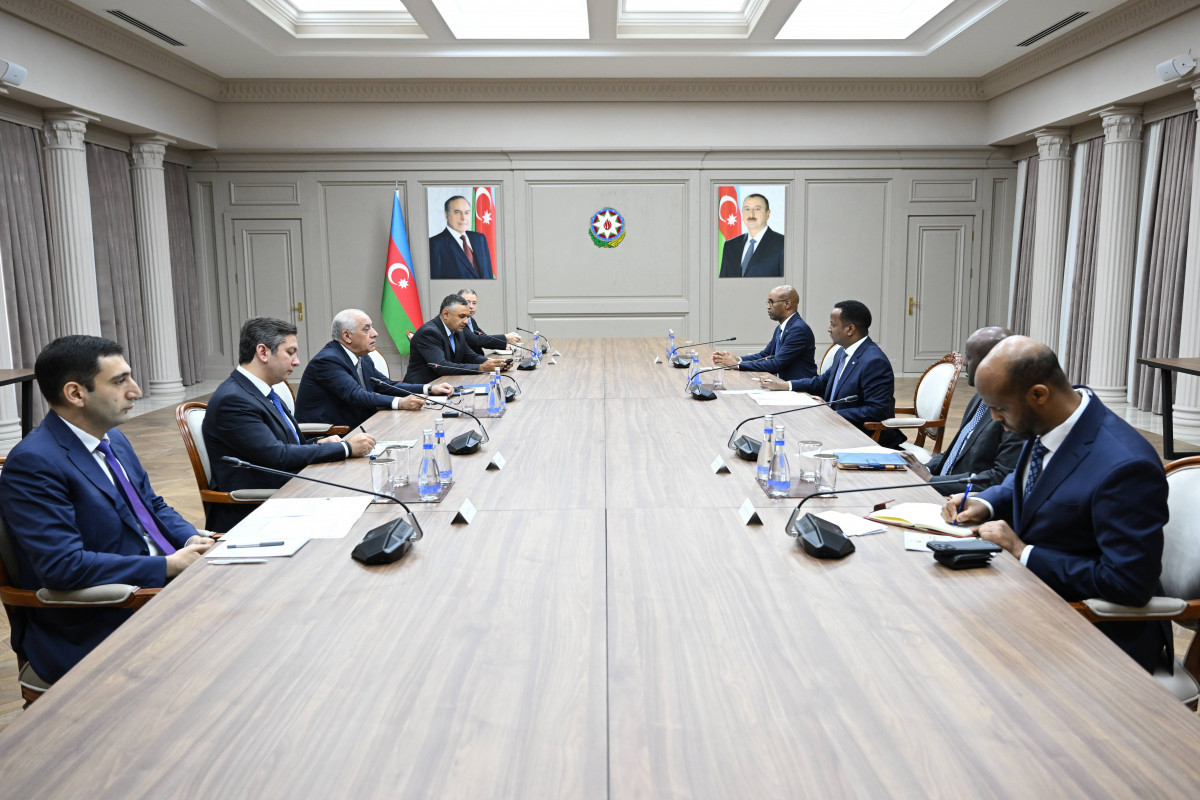 Azerbaijani PM meets with Somali Foreign Minister